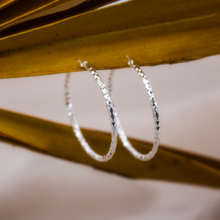 Load image into Gallery viewer, Sterling Silver Hoop Earrings