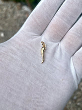 Load image into Gallery viewer, 18K Cornicello Pendant