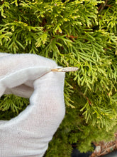 Load image into Gallery viewer, 10K Diamond Band