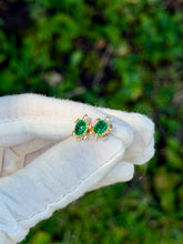 Load image into Gallery viewer, 14K Turtle Earrings
