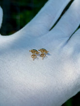Load image into Gallery viewer, 14K Turtle Earrings
