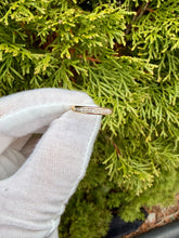 Load image into Gallery viewer, 10K Diamond Band
