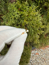 Load image into Gallery viewer, 14K Pearl Studs
