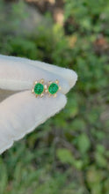 Load and play video in Gallery viewer, 14K Turtle Earrings
